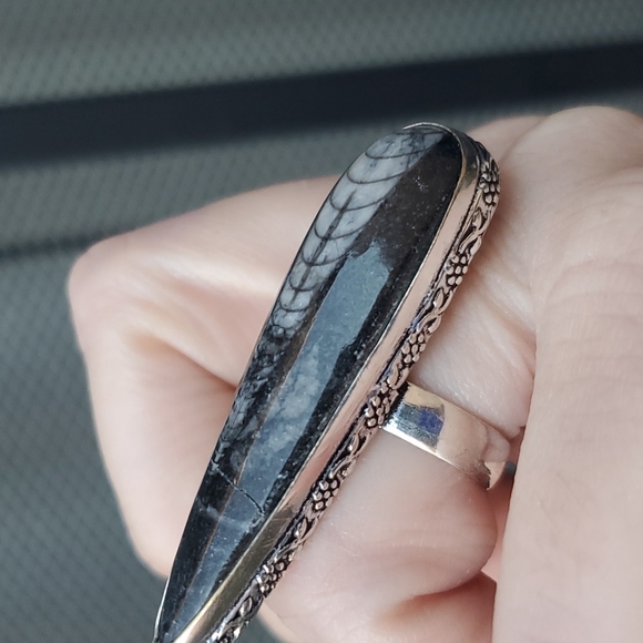 New Oversized Orthoceras Fossil 925 Silver Statement Ring. - Picture 6 of 16
